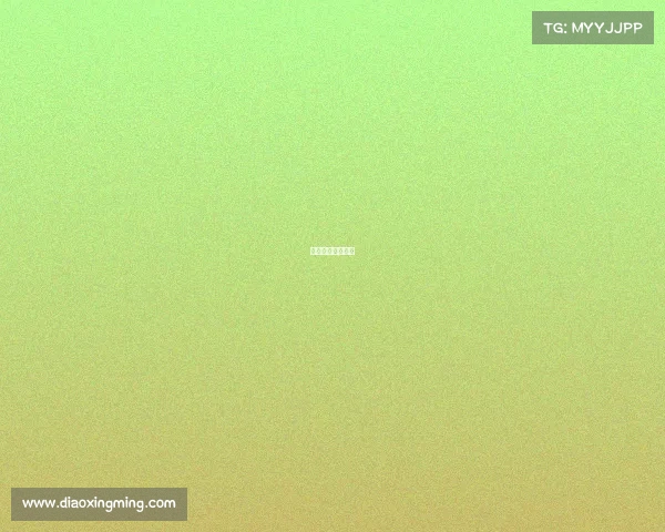 赛事观众安排方案